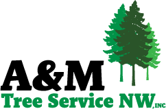 AM Tree Service
